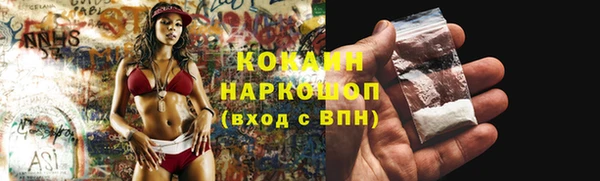 apvp Вяземский