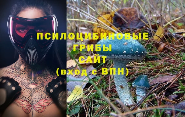 apvp Вяземский