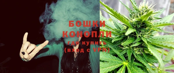 ГАЛЛЮЦИНОГЕННЫЕ ГРИБЫ Волоколамск